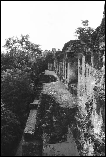 Palenque Photo