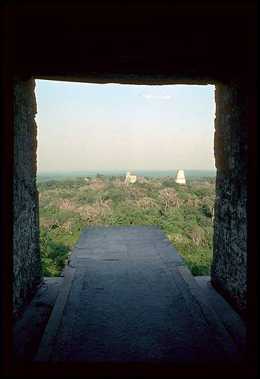 Palenque Photo