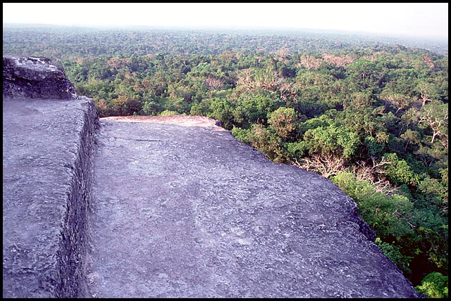 Palenque Photo