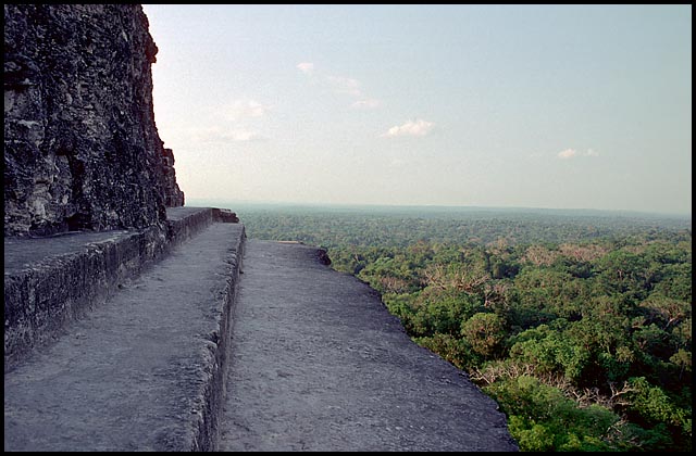 Palenque Photo