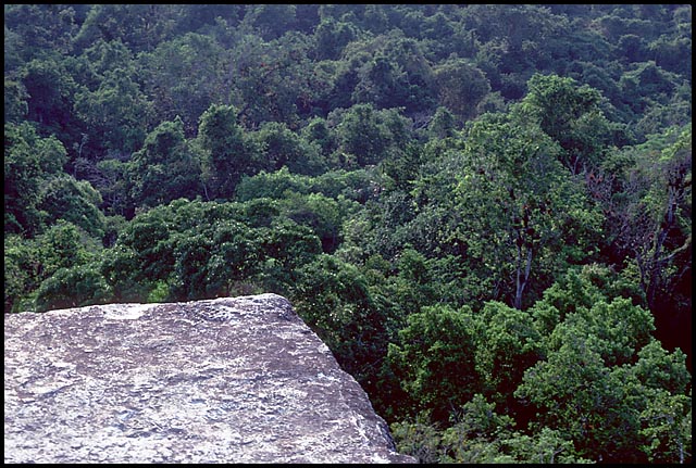 Palenque Photo